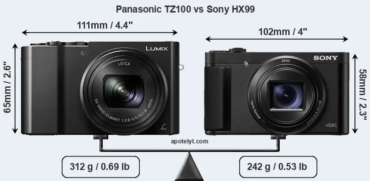 Size Panasonic TZ100 vs Sony HX99