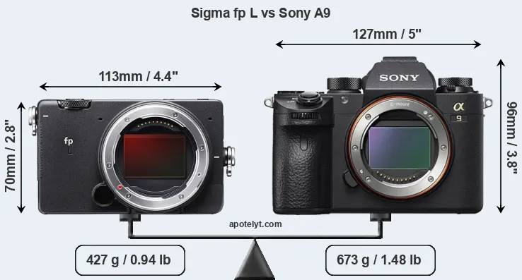 Size Sigma fp L vs Sony A9