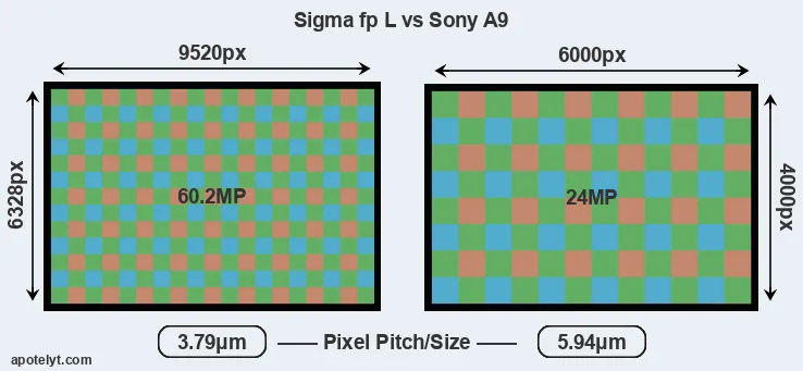 fp L versus A9 MP
