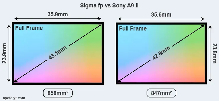Sigma fp and Sony A9 II sensor measures