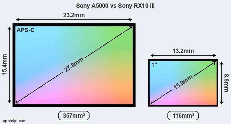 Sony A5000 and Sony RX10 III sensor measures