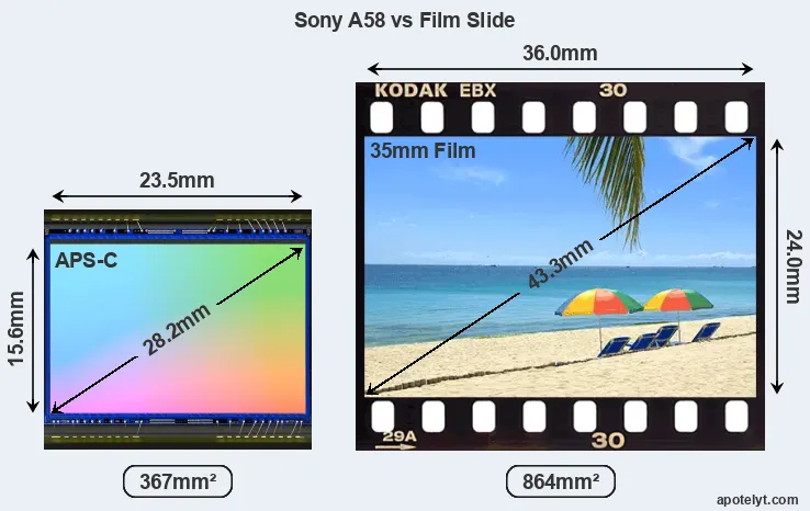 Sony A58 sensor measures