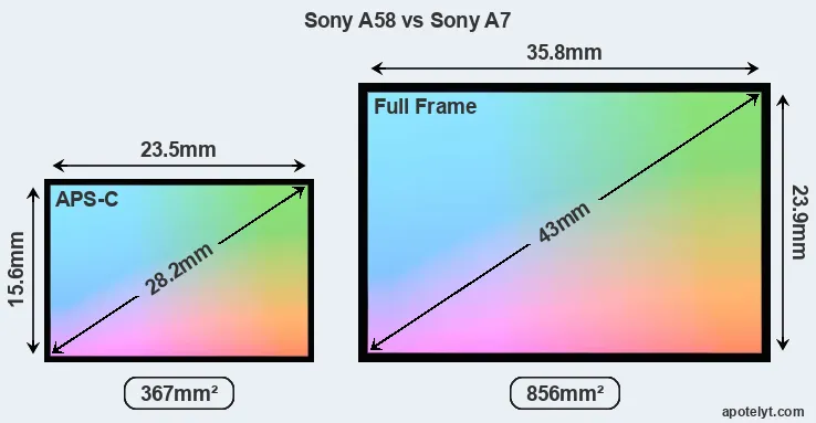 Sony A58 and Sony A7 sensor measures