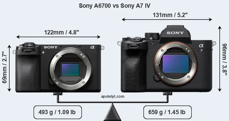 Size Sony A6700 vs Sony A7 IV