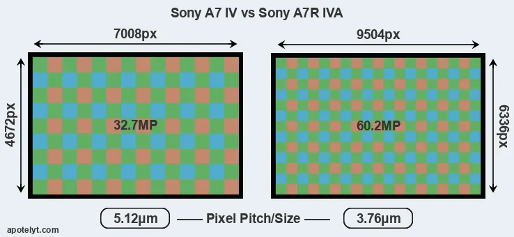 A7 IV versus A7R IVA MP