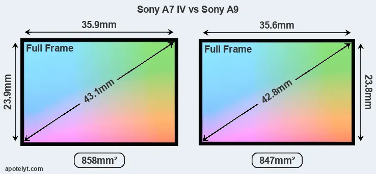 Sony A7 IV and Sony A9 sensor measures