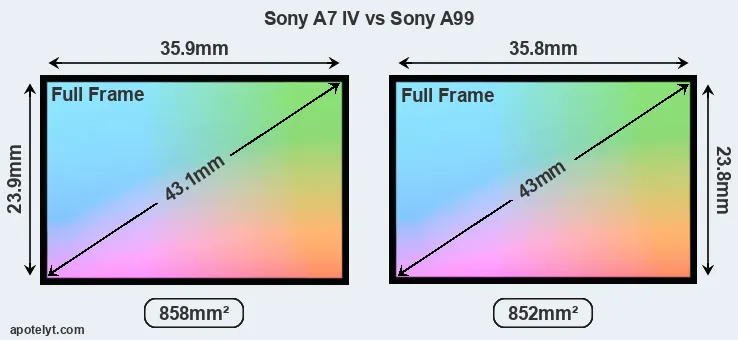 Sony A7 IV and Sony A99 sensor measures