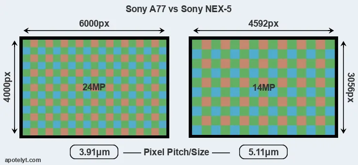 A77 versus NEX-5 MP