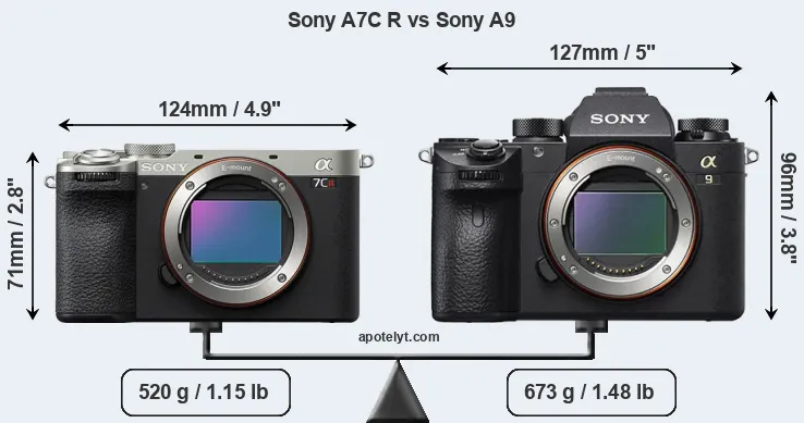 Size Sony A7C R vs Sony A9