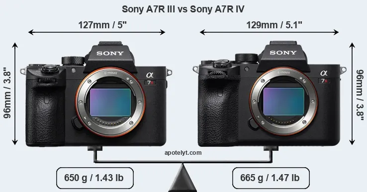 Size Sony A7R III vs Sony A7R IV