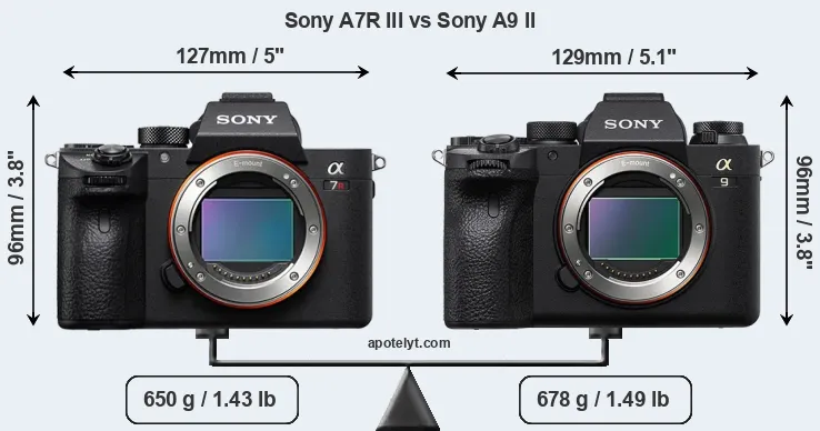 Size Sony A7R III vs Sony A9 II