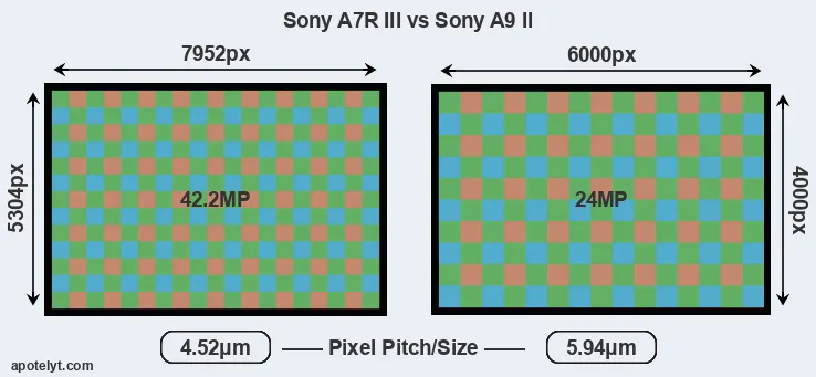 A7R III versus A9 II MP