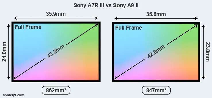 Sony A7R III and Sony A9 II sensor measures