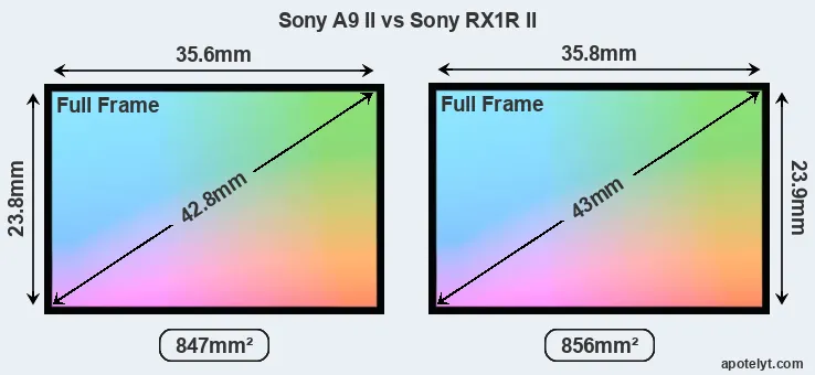 Sony A9 II and Sony RX1R II sensor measures