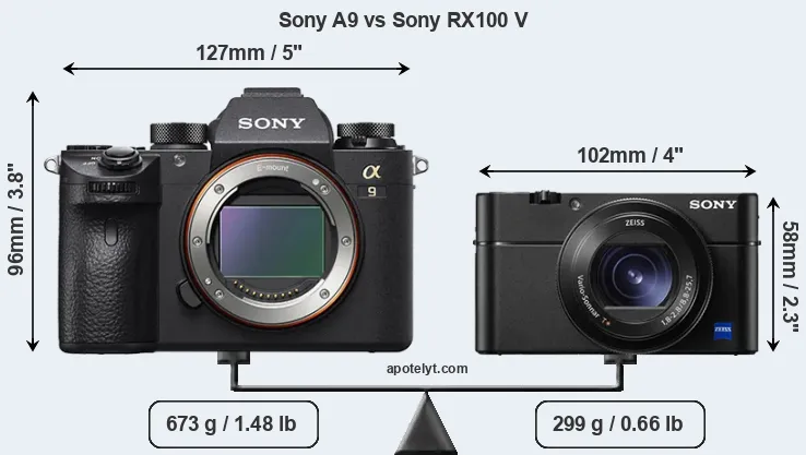 Size Sony A9 vs Sony RX100 V